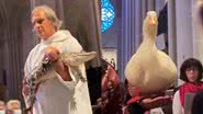 Imagens dos animais na catedral St. John Divine, em Nova York - Reprodução/Vídeo/YouTube/CNN Pop