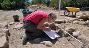 Arqueóloga analisa um dos edifícios da escavação - Pascal Druelle / Inrap