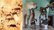 Montagem mostrando, à esquerda, pintura rupestre mostrando cena de caça, e, à direita, modelo de tigre dente-de-sabre - Divulgação/ Museu de Valltorta/ Chris Hunkeler de Carlsbad