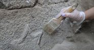 Escavação arqueológica na Turquia - Divulgação