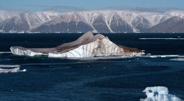 Iceberg no Ártico - Wikimedia Commons