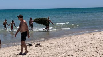 Árvore de Natal sendo retirada do mar na Austrália - Divulgação/Instragam/Pippa Isabelle Phillips