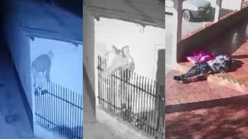 Imagens de câmeras de segurança da sequência de ações registradas em Apiaí, interior de São Paulo - Reprodução/Vídeo/YouTube/UOL