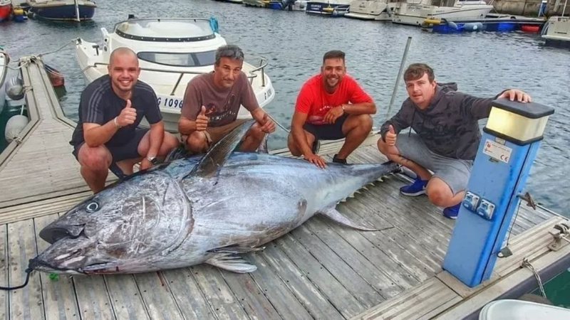 Pescadores com enorme atum-rabilho no mar de Gibraltar, na Espanha - Divulgação/Facebook/Kyle Cavilla