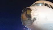 Avião com o bico danificado - Reprodução/RPC