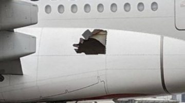Avião voa com buraco na carcaça durante quase 14 horas - Divulgação / Redes sociais / @JacdecNew