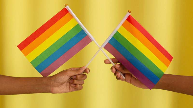 Imagem ilustrativa de bandeiras LGBTQIAP+ - Foto de Monstera no Pexels