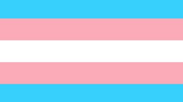 Imagem ilustrativa de bandeira trans - Foto de  Kat Love no Pixabay