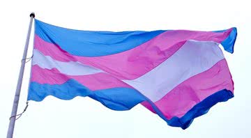 Imagem ilustrativa da bandeira trans - National Progress Party via Wikimedia Commons
