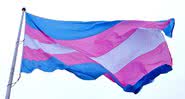 Imagem ilustrativa da bandeira trans - National Progress Party via Wikimedia Commons