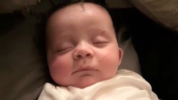 Imagem do bebê Lord, de quatro meses - Reprodução/Vídeo/WSMV4