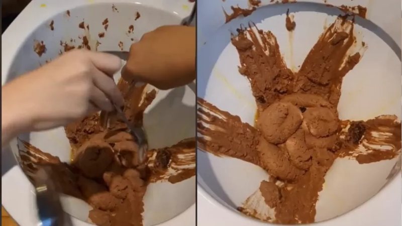 Sorvete de chocolate servido no vaso sanitário - Reprodução/Vídeo/Redes Sociais/Instagram/@gordos_restaurant