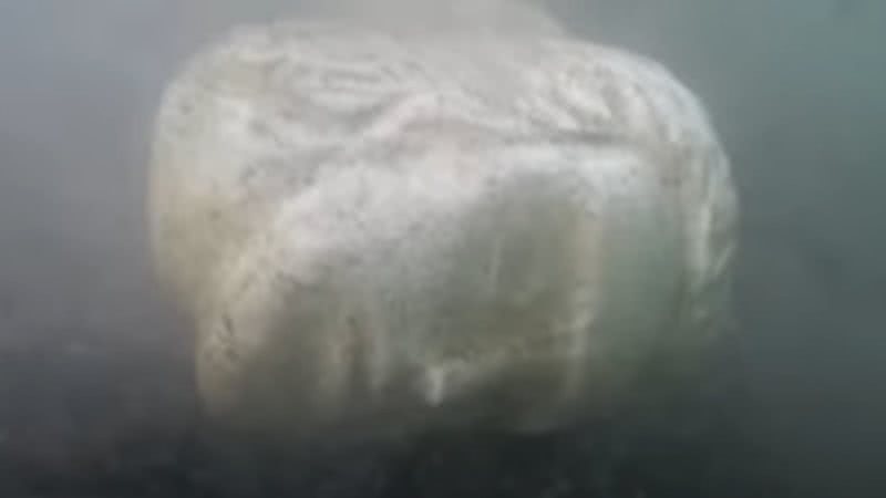 Cabeça de estátua encontrada no fundo do Lago Nemi - Reprodução/Vídeo