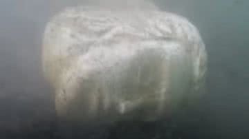 Cabeça de estátua encontrada no fundo do Lago Nemi - Reprodução/Vídeo