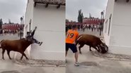 Momento em que mulher é atacada por touro - Reprodução/Vídeo/YouTube/EL TRASCENDENTAL
