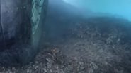 Parte do avião na área de corais - Reprodução/Vídeo/UOL