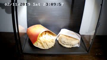 Big Mac e fritas expostas em vidro - Divulgação / YouTube / Snotra House