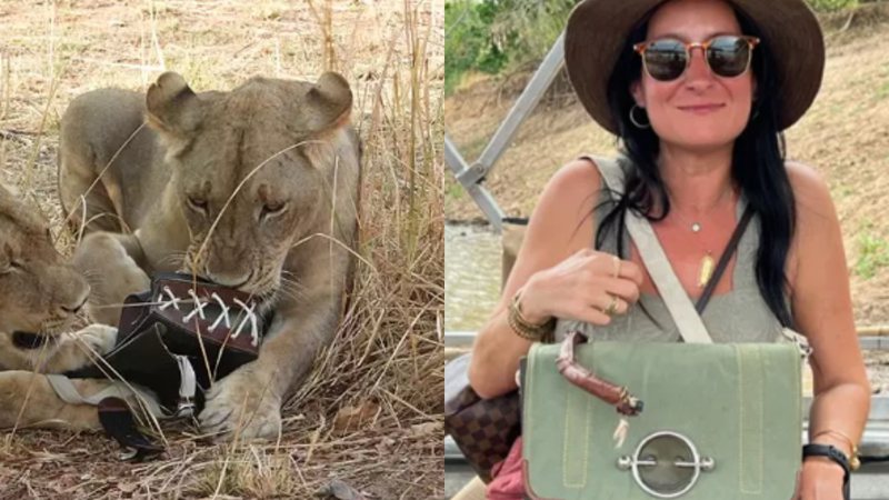 Os leões com a bolsa e Diana Fiorentinos - Reprodução / Diana e Stacy Fiorentinos