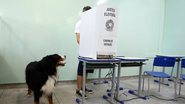 Registro do segundo turno das eleições neste domingo (30) - Getty Images