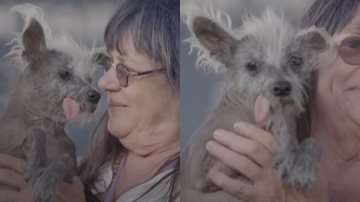 Scooter venceu o concurso de 'Cão Mais Feio do Mundo' - Reprodução/Vídeo/Youtube