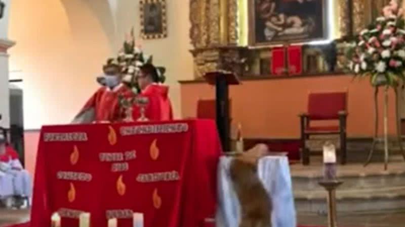Cachorro 'roubando' pão em missa na Colômbia - Divulgação/Youtube/OCP NEWS