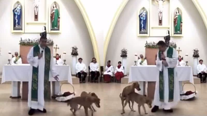Registros dos cachorros que 'invadiram' o altar durante a missa - Reprodução/Vídeo