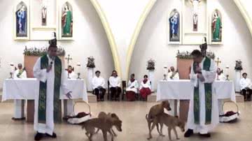 Registros dos cachorros que 'invadiram' o altar durante a missa - Reprodução/Vídeo
