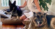 Major e Champ, os cachorros da família Biden - Divulgação - Twitter