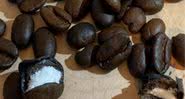 Grãos de café encontrados recheados de cocaína - Divulgação - Guardia di Finanza Varese
