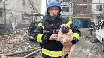 O pug resgatado após um míssil ter atingido um prédio residencial em Zaporíjia - Reprodução / Serviço de Emergência ucraniano