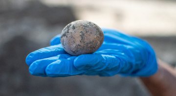 Imagem do ovo de galinha encontrado em fossa antiga - Divulgação/Autoridade de Antiguidades de Israel