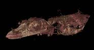 Reconstrução digital do lagarto ‘Oculudentavis naga’ - Divulgação/Edward Stanley/Florida Museum