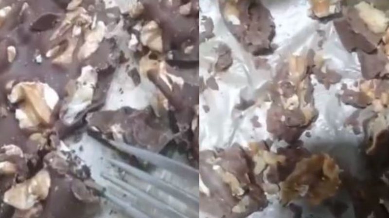 Imagens do chocolate com larvas - Reprodução / Vídeo