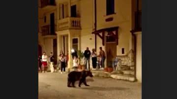 Registro da ursa caminhando tranquilamente por vilarejo antes de ser morta - Divulgação/vídeo/G1
