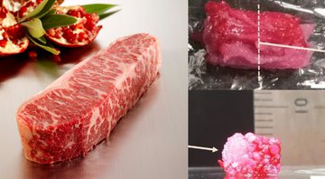 Fotografia de um bife wagyu e da carne impressa pela universidade - Divulgação/ PxHere/ Universidade de Osaka
