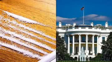 Imagens ilustrativas de cocaína e da Casa Branca - Fotos de BrutallyHonestFREE e 12019, via Pixabay