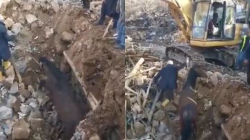 Imagens do cavalo sendo resgatado dos escombros na Turquia - Reprodução / Vídeo