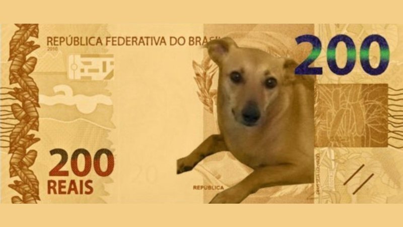 Sátira de cédula de R$ 200 com cachorro vira-lata caramelo - Divulgação