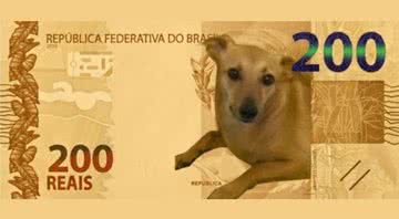 Sátira de cédula de R$ 200 com cachorro vira-lata caramelo - Divulgação