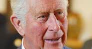 Príncipe Charles, herdeiro do trono britânico - Wikimedia Commons