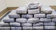 Carregamento de cocaína encontrado no arquipélago de Florida Keys, nos EUA - Divulgação/U.S. Border Patrol