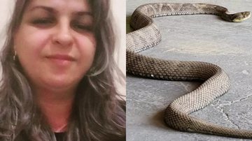 Cobra jararaca e vítima de picada, a policial Luciene - Reprodução/ UOL
