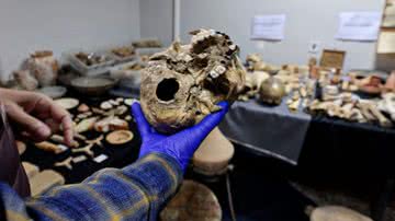 Fotografia mostrando restos humanos históricos - Divulgação/ Guarda Civil da Espanha