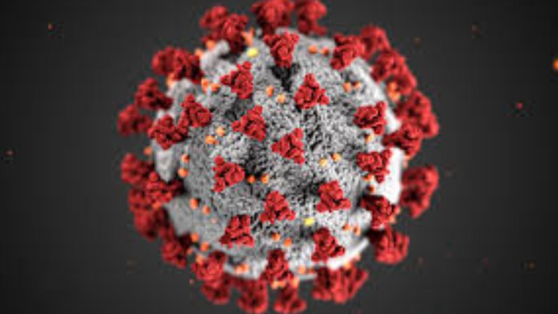 Imagem ilustrativa do coronavírus - Centers for Disease Control and Prevention's/Wikimedia Commons