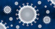 Representação do coronavírus - Divulgação/Pixabay