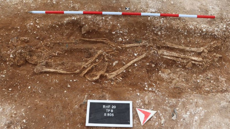 Restos mortais encontrados do senho da guerra - Divulgação/ University of Reading