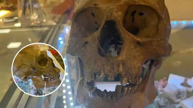 Crânio humano encontrado em brechó - Gabinete do xerife do Condado de Lee