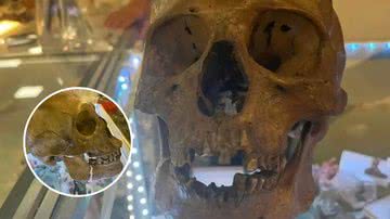 Crânio humano encontrado em brechó - Gabinete do xerife do Condado de Lee