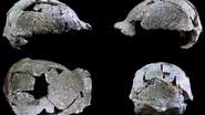 Crânio de 1,5 milhão de anos - Divulgação / Emiliano Bruner et.al