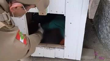 Criança dormindo em casinha de cachorro - Divulgação/Polícia Militar de Santa Catarina